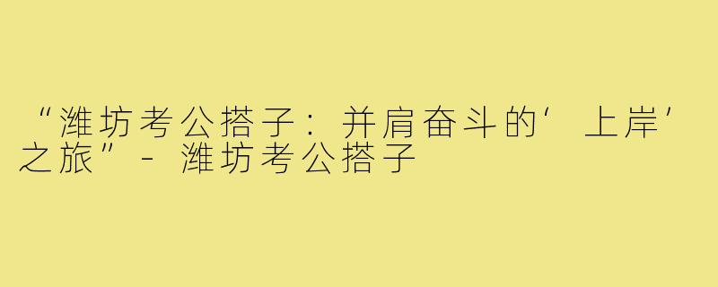 “潍坊考公搭子：并肩奋斗的‘上岸’之旅”