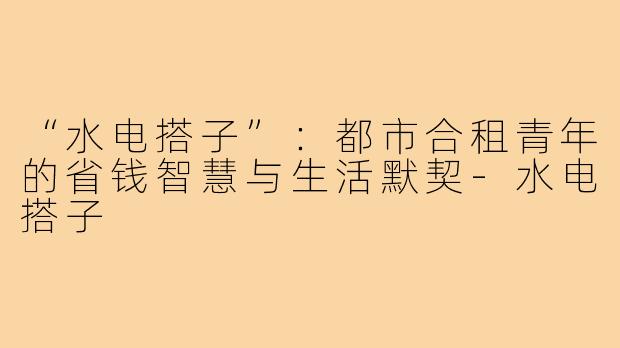 “水电搭子”：都市合租青年的省钱智慧与生活默契-水电搭子