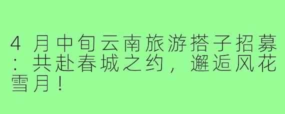 4月中旬云南旅游搭子招募：共赴春城之约，邂逅风花雪月！