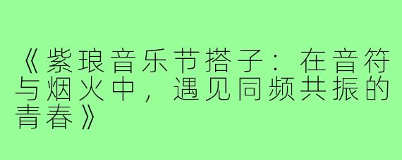 《紫琅音乐节搭子：在音符与烟火中，遇见同频共振的青春》