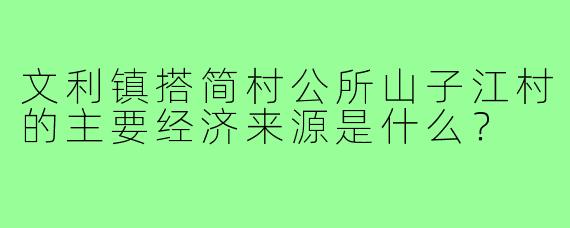 文利镇搭简村公所山子江村的主要经济来源是什么?
