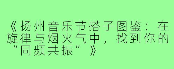 《扬州音乐节搭子图鉴：在旋律与烟火气中，找到你的“同频共振”》