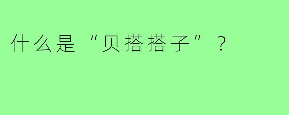 什么是“贝搭搭子”？