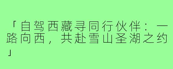 「自驾西藏寻同行伙伴:一路向西,共赴雪山圣湖之约」