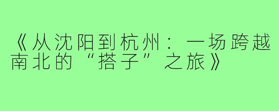 《从沈阳到杭州：一场跨越南北的“搭子”之旅》
