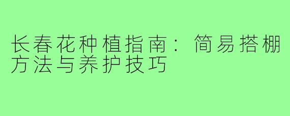 长春花种植指南：简易搭棚方法与养护技巧