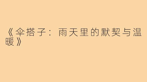 《伞搭子:雨天里的默契与温暖》