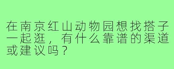 在南京红山动物园想找搭子一起逛，有什么靠谱的渠道或建议吗？