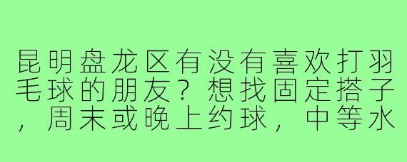 昆明盘龙区有没有喜欢打羽毛球的朋友?想找固定搭子,周末或晚上约球,中等水平,求推荐场地或组队!