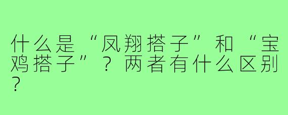 什么是“凤翔搭子”和“宝鸡搭子”?两者有什么区别?