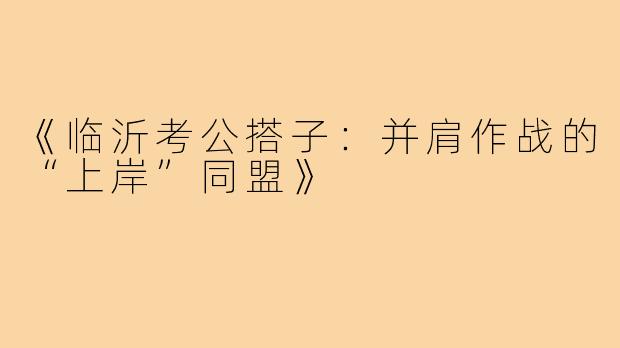 《临沂考公搭子：并肩作战的“上岸”同盟》