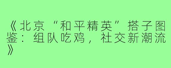 《北京“和平精英”搭子图鉴：组队吃鸡，社交新潮流》