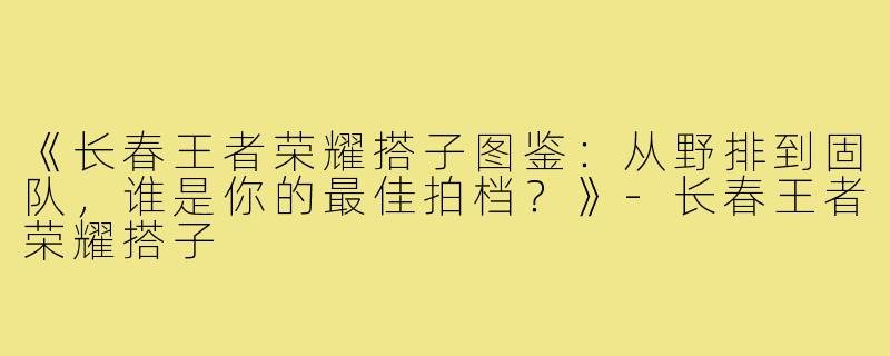 《长春王者荣耀搭子图鉴：从野排到固队，谁是你的最佳拍档？》