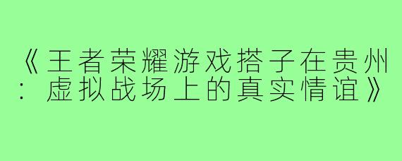 《王者荣耀游戏搭子在贵州：虚拟战场上的真实情谊》