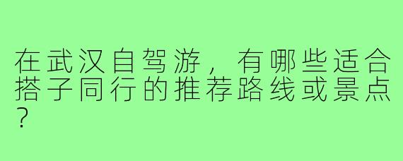 在武汉自驾游，有哪些适合搭子同行的推荐路线或景点？
