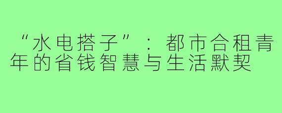 “水电搭子”：都市合租青年的省钱智慧与生活默契