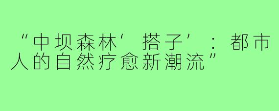“中坝森林‘搭子’：都市人的自然疗愈新潮流”