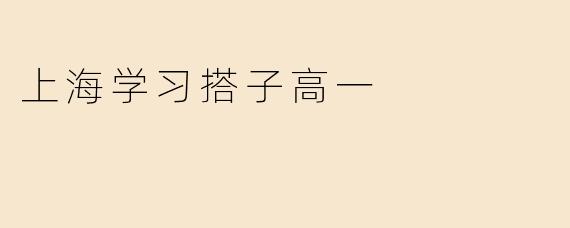 上海学习搭子高一