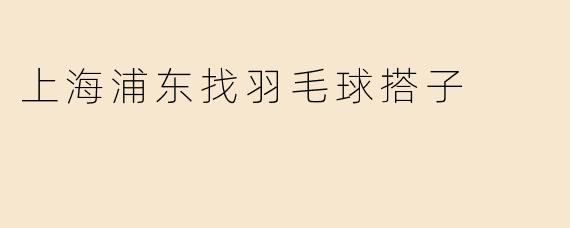 上海浦东找羽毛球搭子
