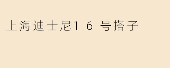 上海迪士尼16号搭子