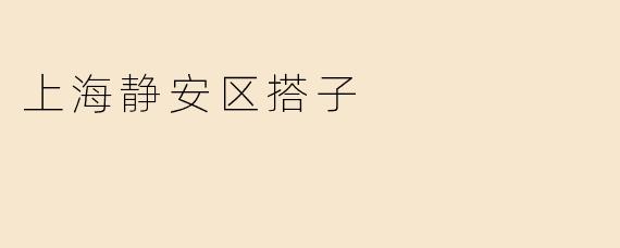 上海静安区搭子