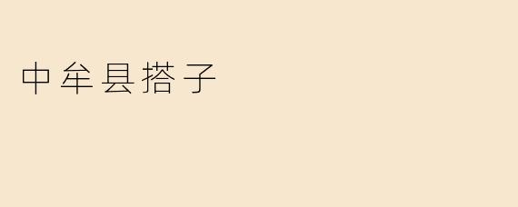 《中牟县“搭子”现象：当代年轻人的新型社交模式》
