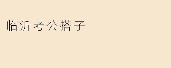 临沂考公搭子