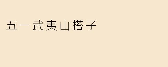 五一武夷山搭子