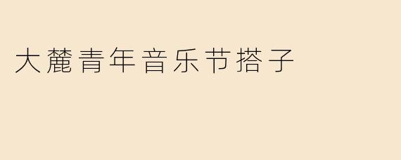 什么是“大麓青年音乐节搭子”？怎么找到合适的音乐节同伴？