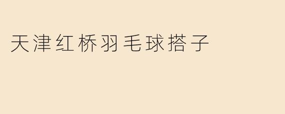 天津红桥羽毛球搭子
