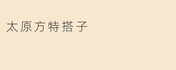 太原方特搭子是什么意思？