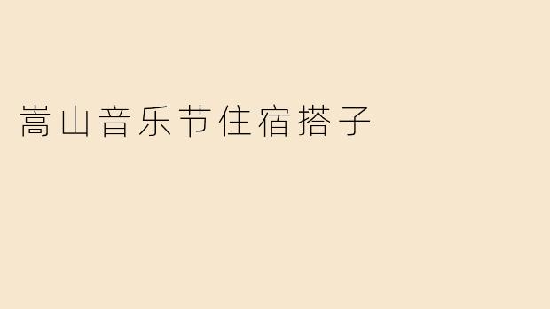 嵩山音乐节住宿搭子