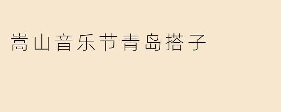 嵩山音乐节青岛搭子