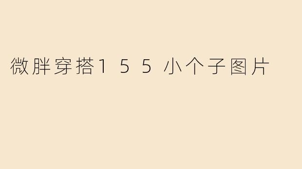 微胖穿搭155小个子图片