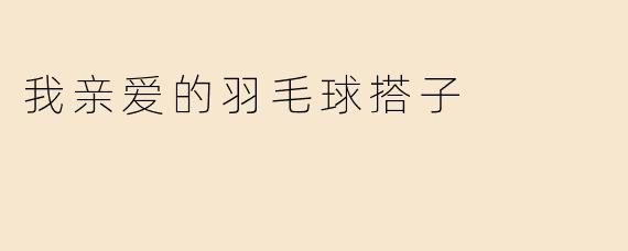我亲爱的羽毛球搭子