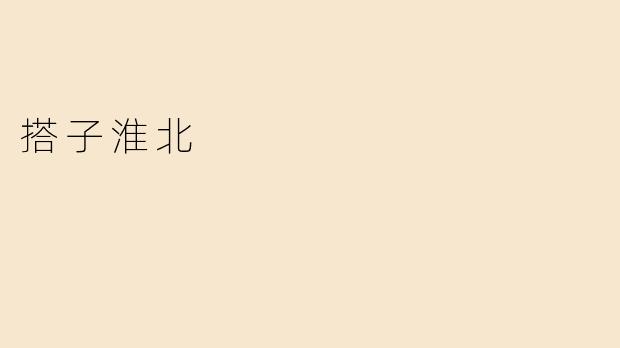 搭子淮北