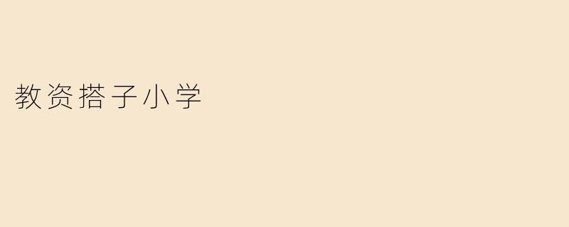 教资搭子小学