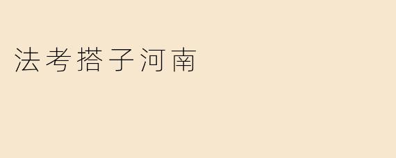 法考搭子河南