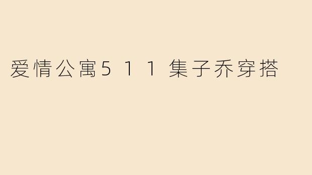 爱情公寓511集子乔穿搭