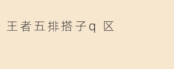 王者五排搭子q区
