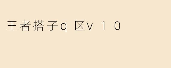 王者搭子q区v10