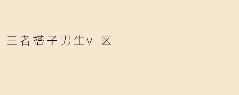 王者搭子男生v区