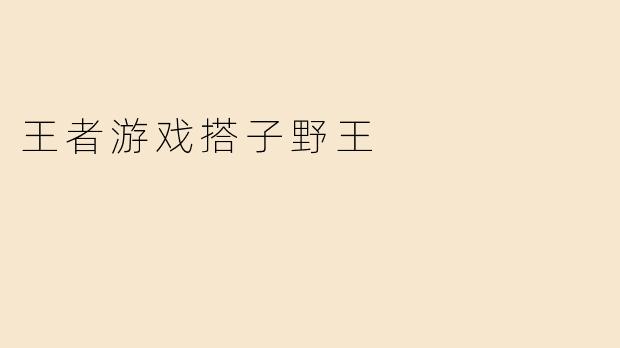 王者游戏搭子野王