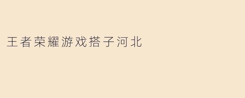 王者荣耀游戏搭子河北