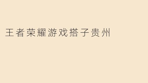 王者荣耀游戏搭子贵州