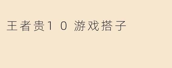 王者贵10游戏搭子