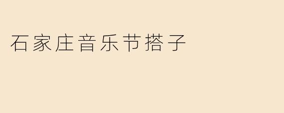 石家庄音乐节搭子