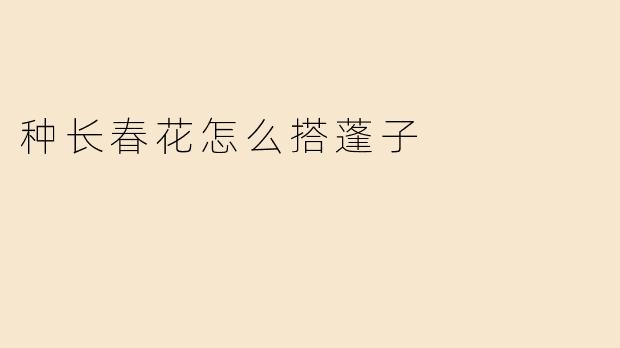 种长春花怎么搭蓬子