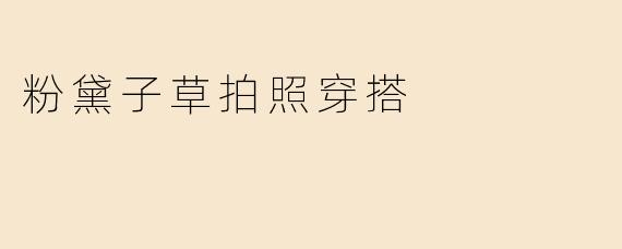 粉黛子草拍照穿搭