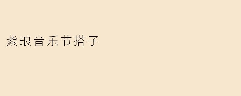 《紫琅音乐节搭子：在音符与烟火中，遇见同频共振的青春》